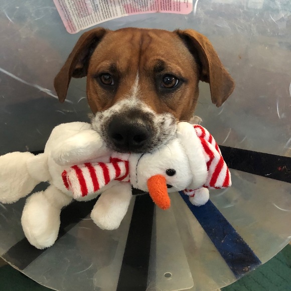 Lori & Roadie say hi! - Picture 14 of 15